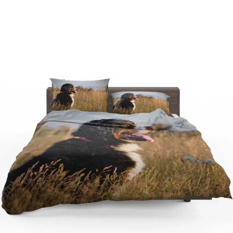 Bernese Mountain Dog Majestic Stance Bedding Set