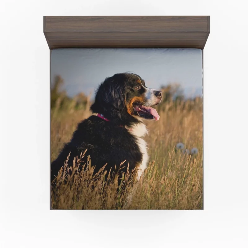 Bernese Mountain Dog Majestic Stance Fitted Sheet 1