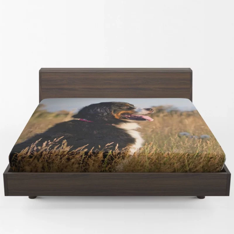 Bernese Mountain Dog Majestic Stance Fitted Sheet