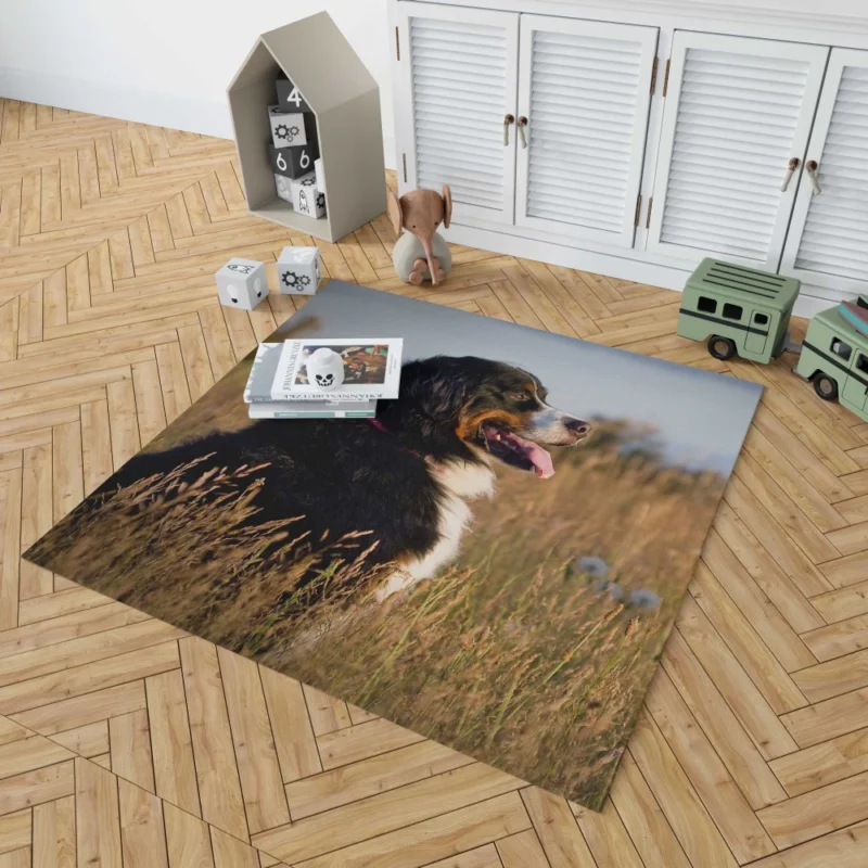 Bernese Mountain Dog Majestic Stance Rug 1