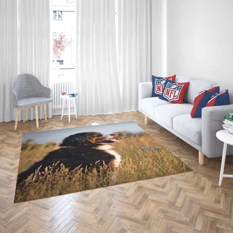 Bernese Mountain Dog Majestic Stance Rug 2