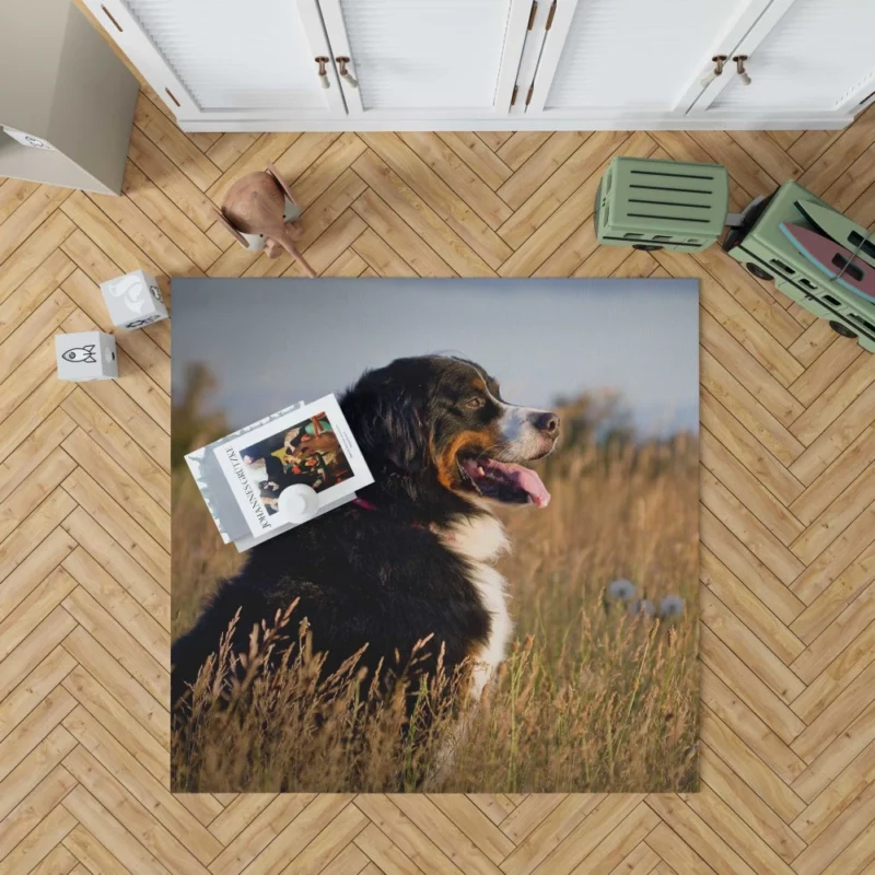 Bernese Mountain Dog Majestic Stance Rug