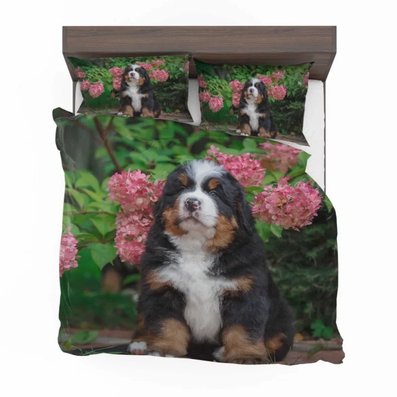 Bernese Mountain Dog Puppy Wholesome Charm Bedding Set 1