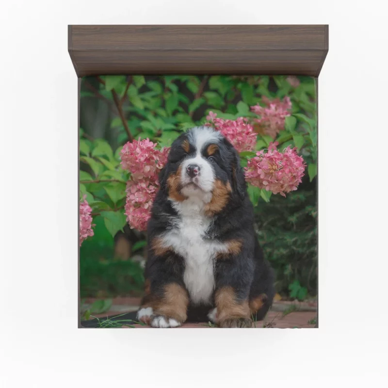 Bernese Mountain Dog Puppy Wholesome Charm Fitted Sheet 1