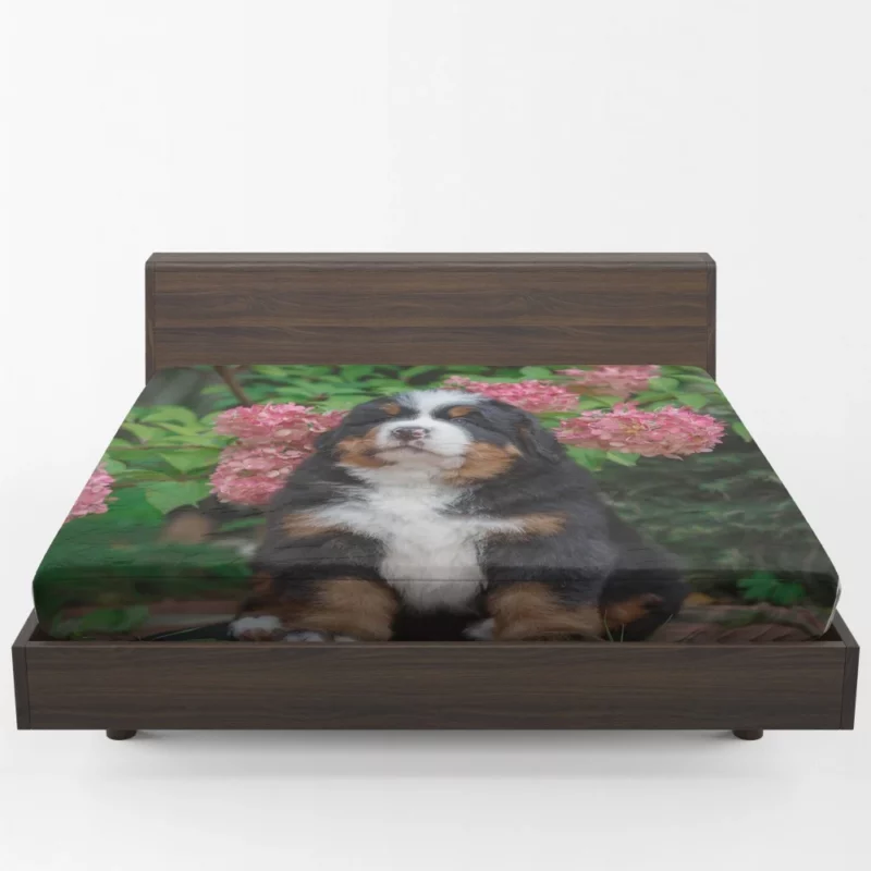 Bernese Mountain Dog Puppy Wholesome Charm Fitted Sheet