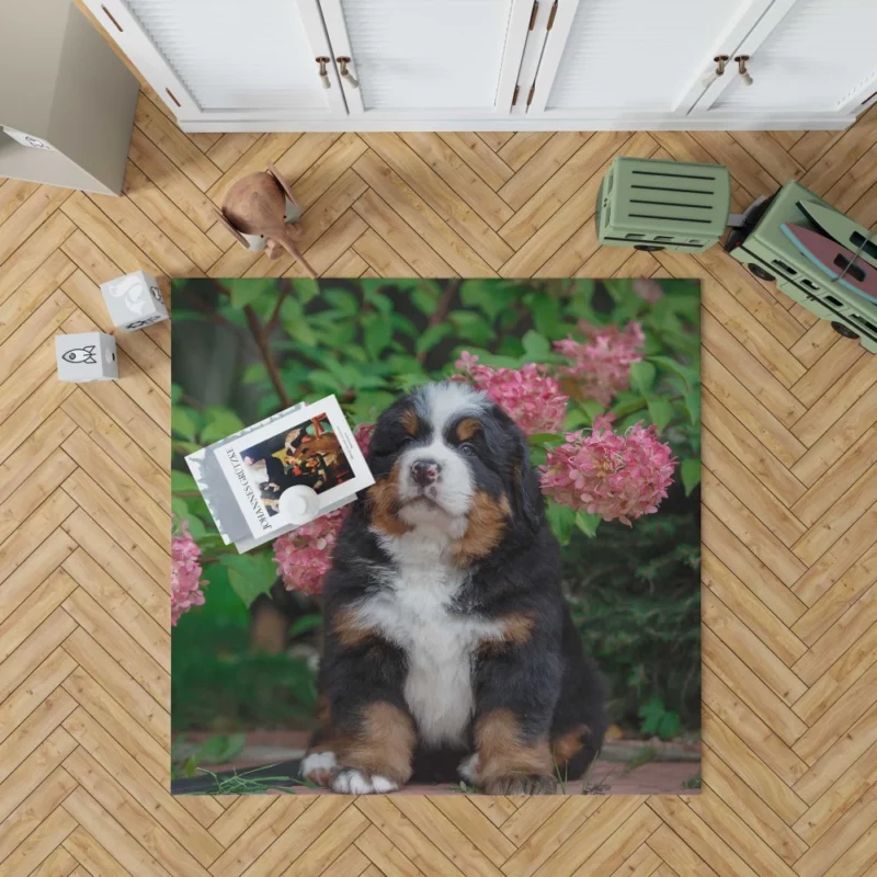 Bernese Mountain Dog Puppy Wholesome Charm Rug