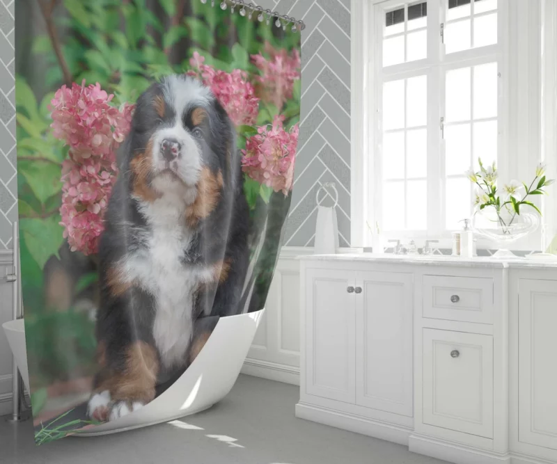 Bernese Mountain Dog Puppy Wholesome Charm Shower Curtain 1