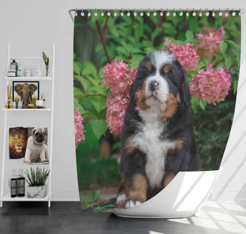 Bernese Mountain Dog Puppy Wholesome Charm Shower Curtain