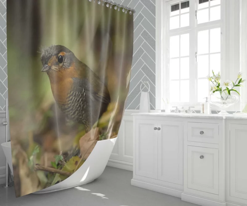 Bird Aerial Flourish Graceful Flight Shower Curtain 1