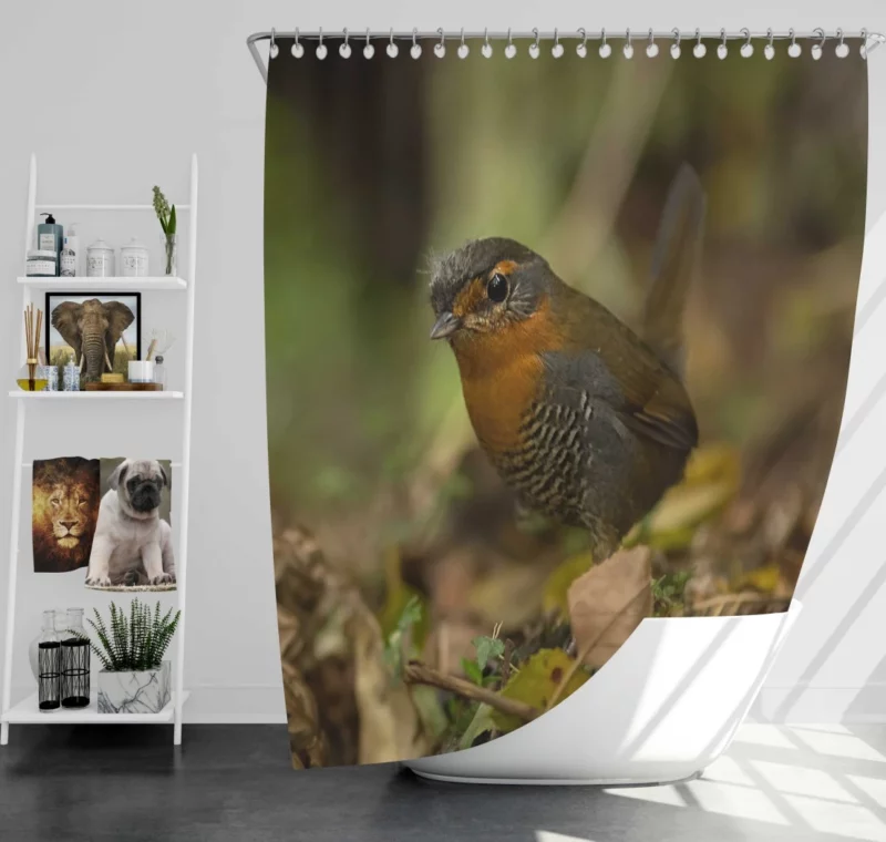 Bird Aerial Flourish Graceful Flight Shower Curtain