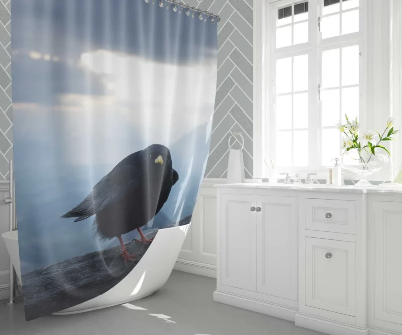 Bird Sunbeam Grace Nature Radiance Shower Curtain 1