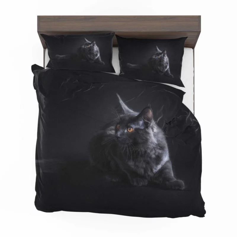 Black Cat Portrait Mysterious Elegance Bedding Set 1