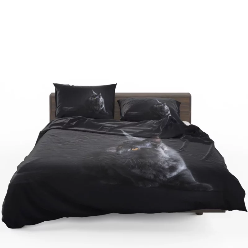 Black Cat Portrait Mysterious Elegance Bedding Set