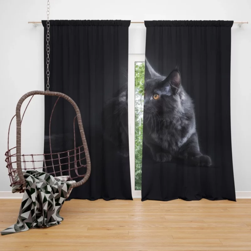 Black Cat Portrait Mysterious Elegance Curtain