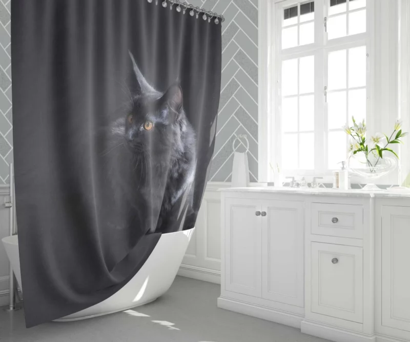 Black Cat Portrait Mysterious Elegance Shower Curtain 1