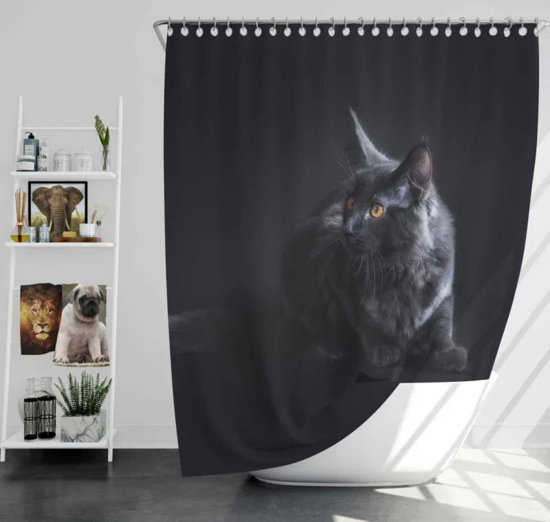 Black Cat Portrait Mysterious Elegance Shower Curtain