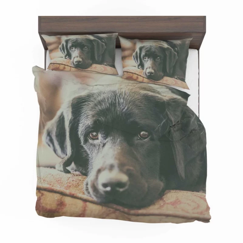 Black Labrador Expressive Face Furry Charm Bedding Set 1