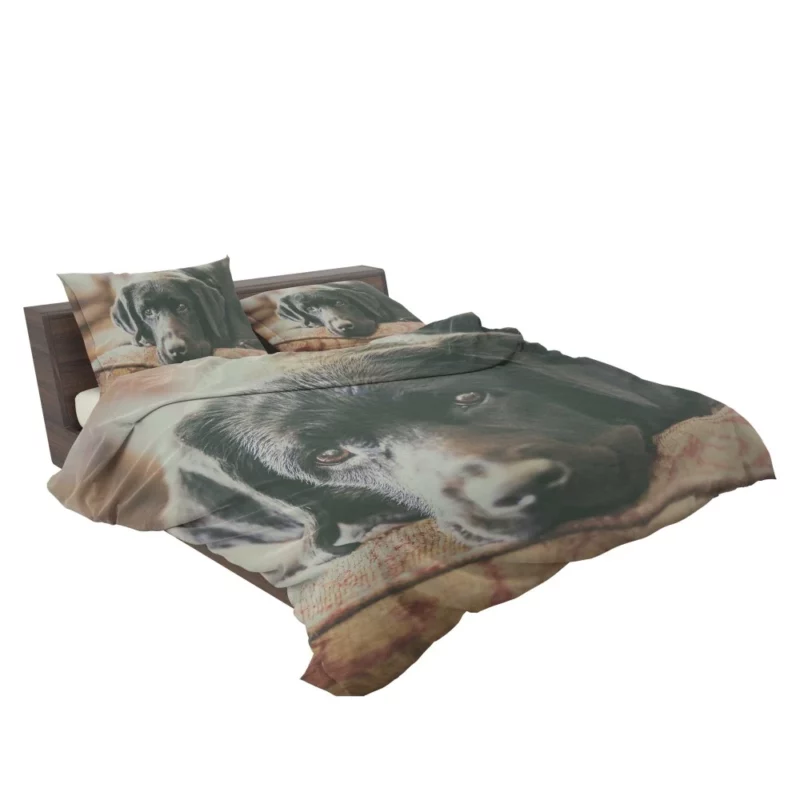 Black Labrador Expressive Face Furry Charm Bedding Set 2