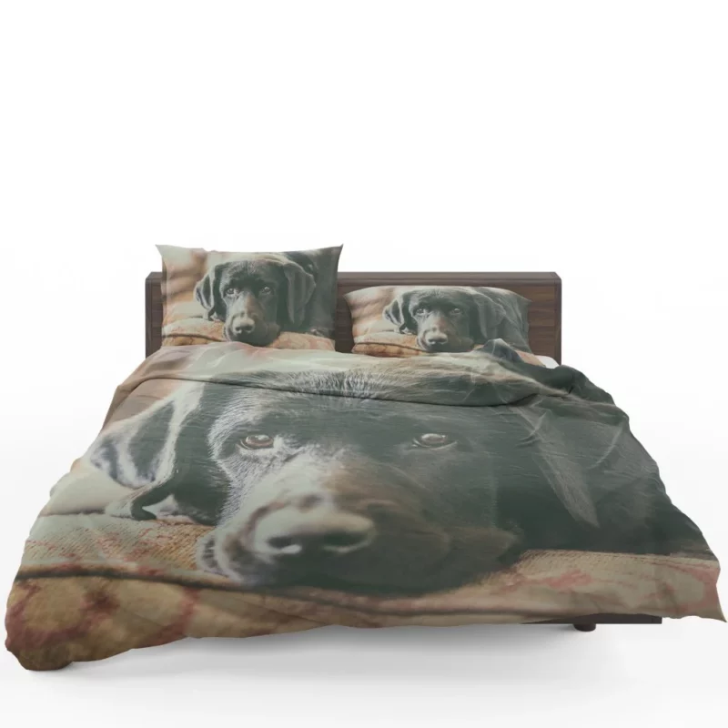 Black Labrador Expressive Face Furry Charm Bedding Set