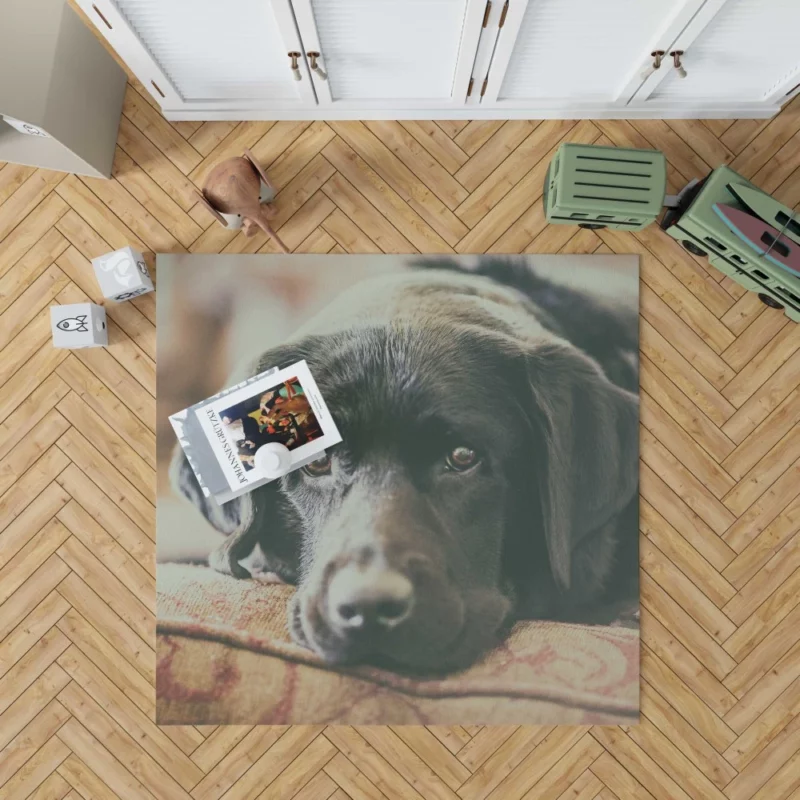 Black Labrador Expressive Face Furry Charm Rug