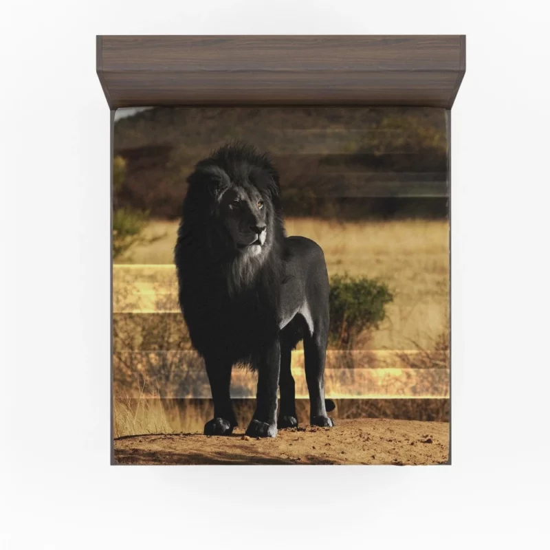 Black Lion Mystery Untamed Beauty Fitted Sheet 1