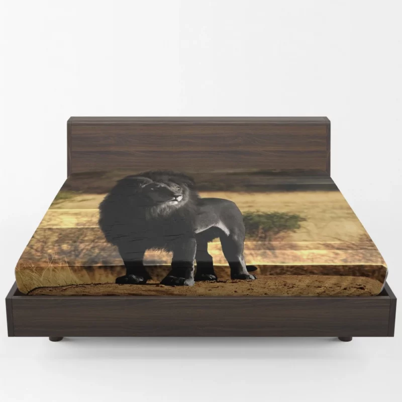 Black Lion Mystery Untamed Beauty Fitted Sheet