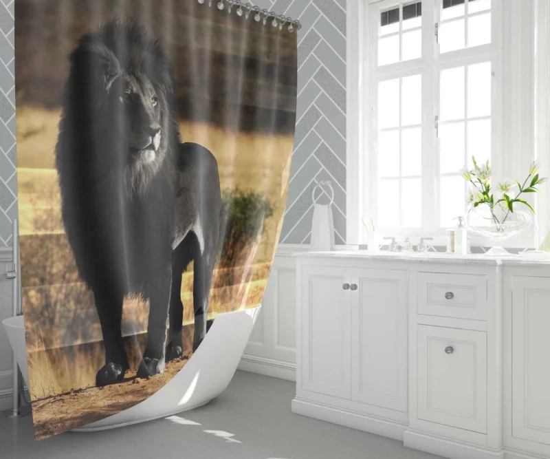 Black Lion Mystery Untamed Beauty Shower Curtain 1