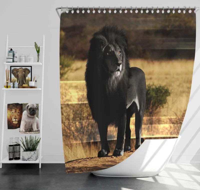 Black Lion Mystery Untamed Beauty Shower Curtain