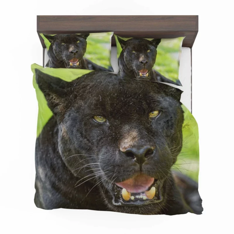 Black Panther Enigmatic Gaze Stealth Bedding Set 1