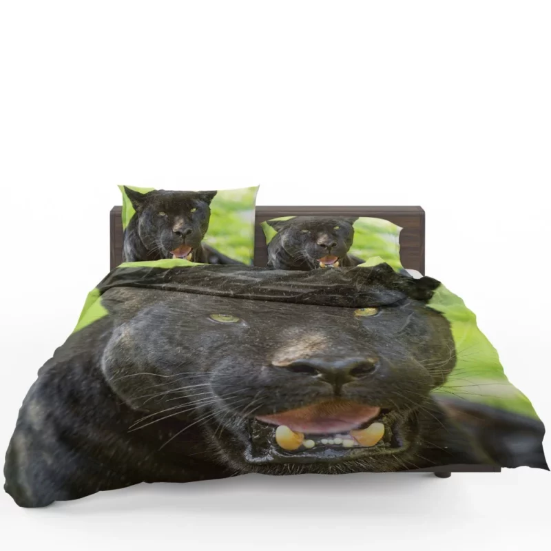 Black Panther Enigmatic Gaze Stealth Bedding Set