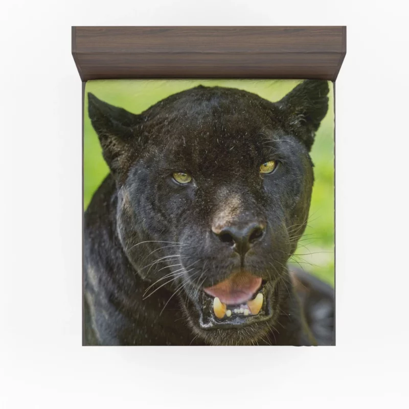 Black Panther Enigmatic Gaze Stealth Fitted Sheet 1