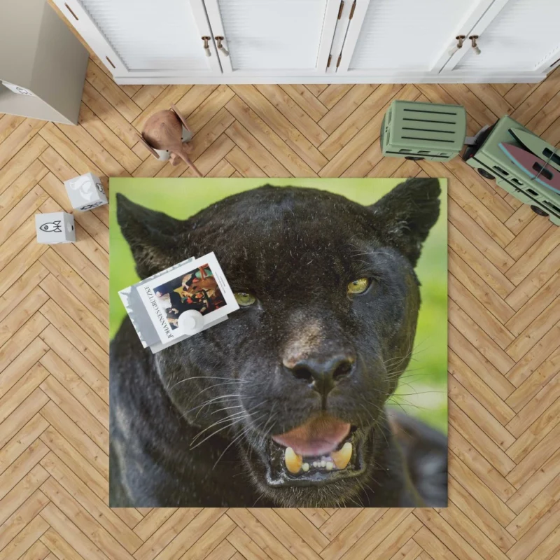 Black Panther Enigmatic Gaze Stealth Rug