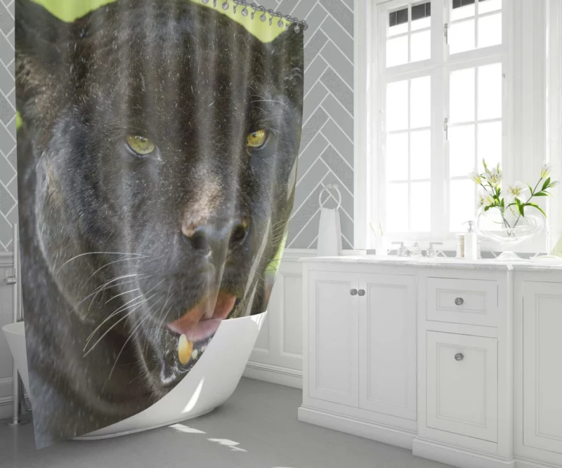 Black Panther Enigmatic Gaze Stealth Shower Curtain 1