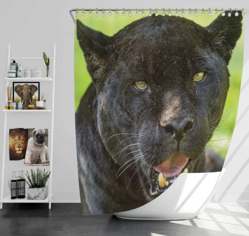 Black Panther Enigmatic Gaze Stealth Shower Curtain