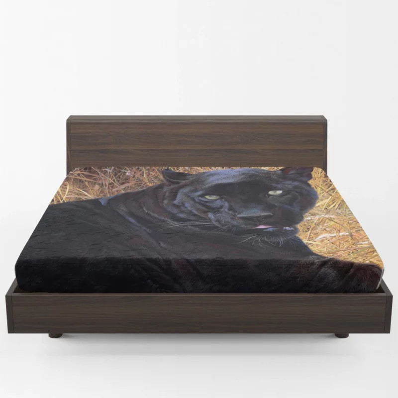 Black Panther Exotic  Majesty Fitted Sheet