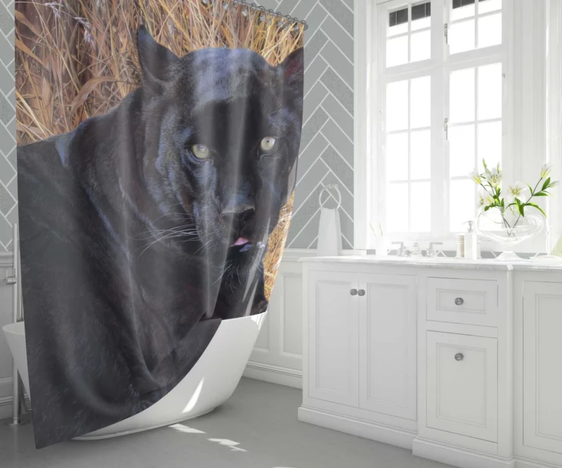 Black Panther Exotic  Majesty Shower Curtain 1