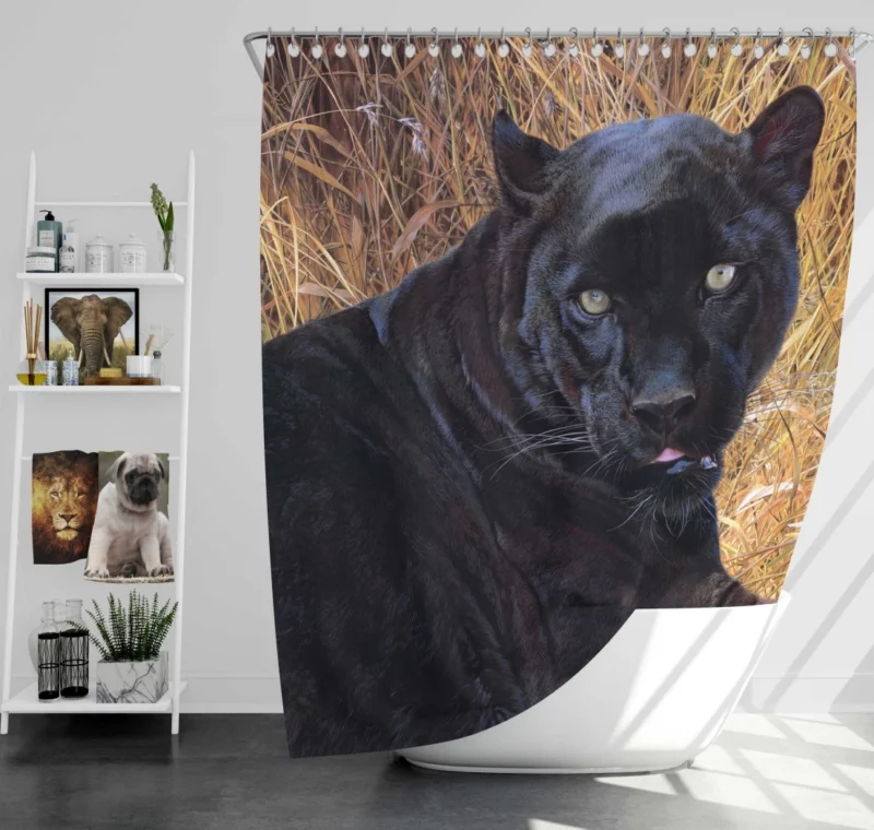 Black Panther Exotic  Majesty Shower Curtain