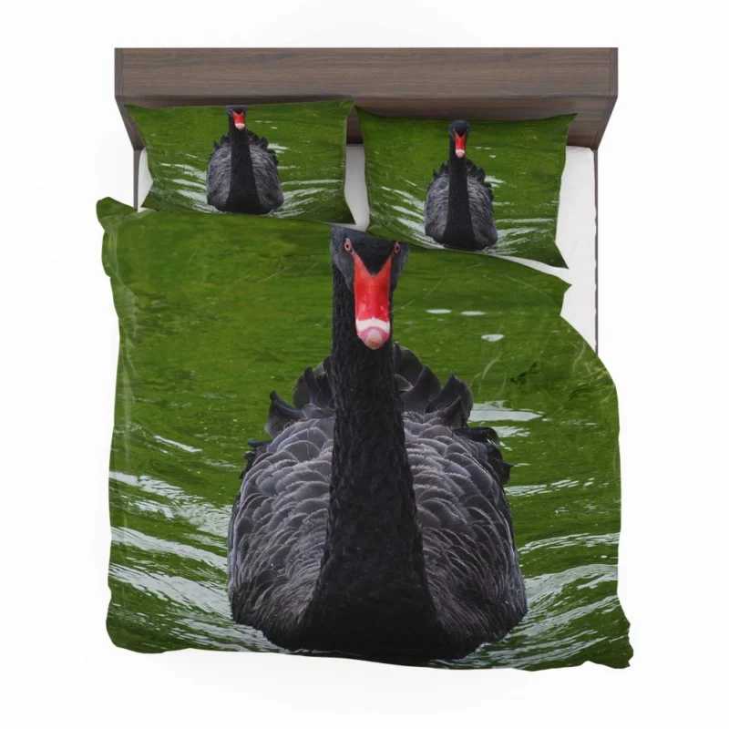 Black Swan Enigmatic Beauty Dark Elegance Bedding Set 1