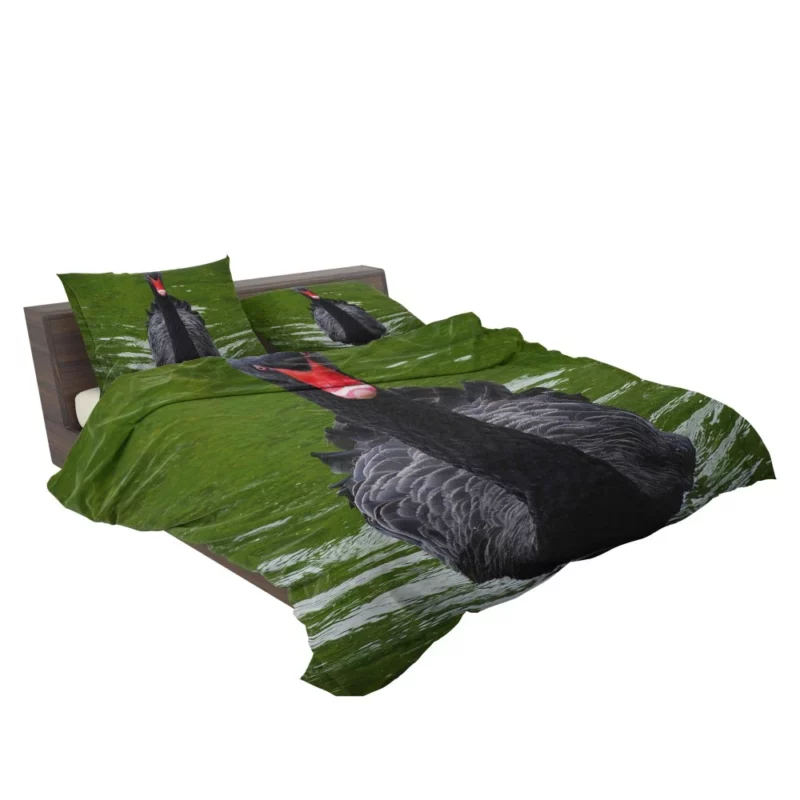 Black Swan Enigmatic Beauty Dark Elegance Bedding Set 2