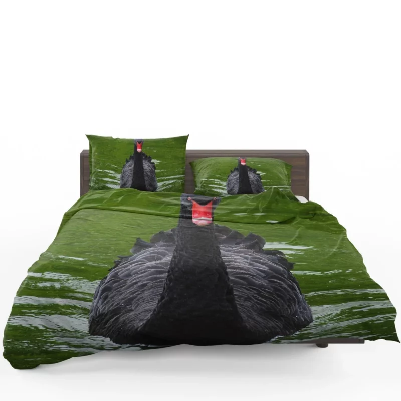 Black Swan Enigmatic Beauty Dark Elegance Bedding Set