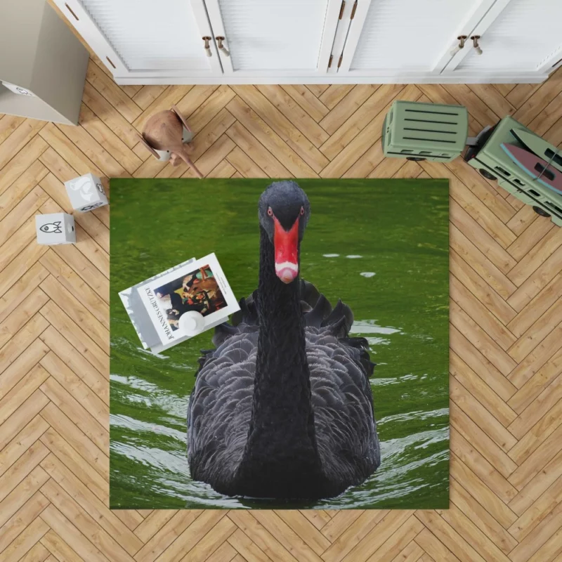 Black Swan Enigmatic Beauty Dark Elegance Rug