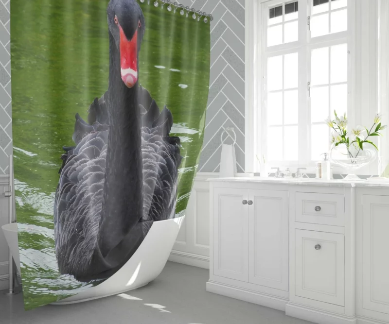 Black Swan Enigmatic Beauty Dark Elegance Shower Curtain 1