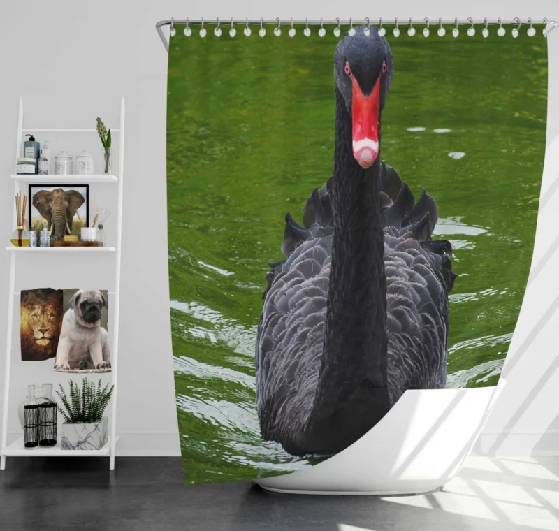 Black Swan Enigmatic Beauty Dark Elegance Shower Curtain