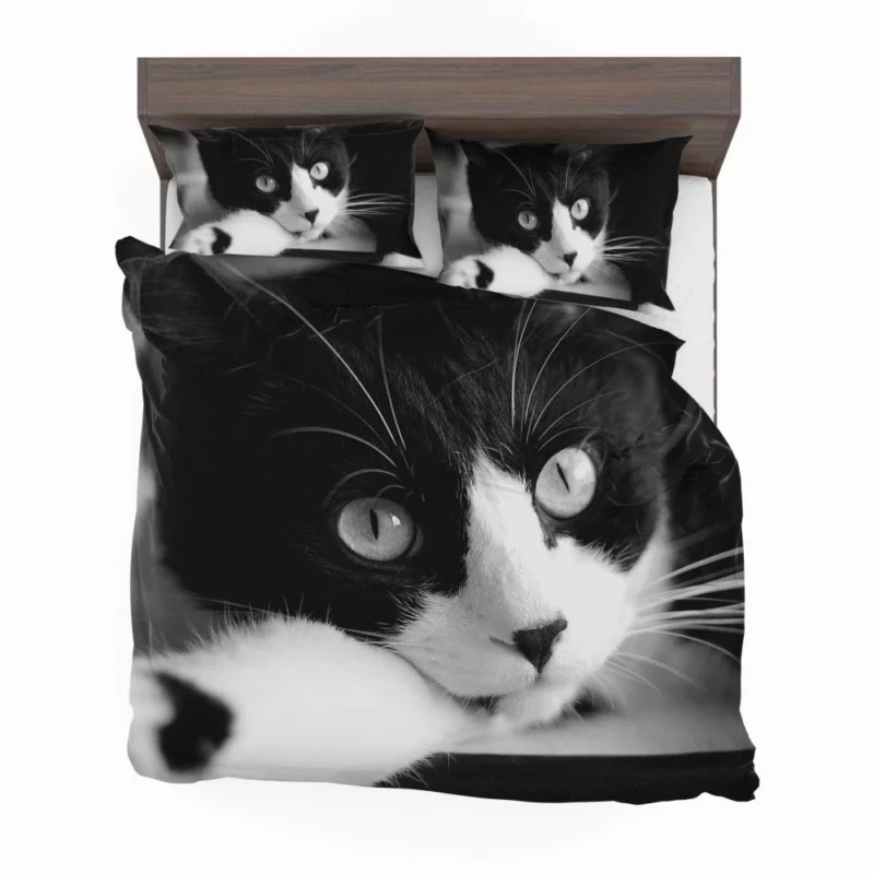 Black & White Cat Enigmatic Beauty Bedding Set 1