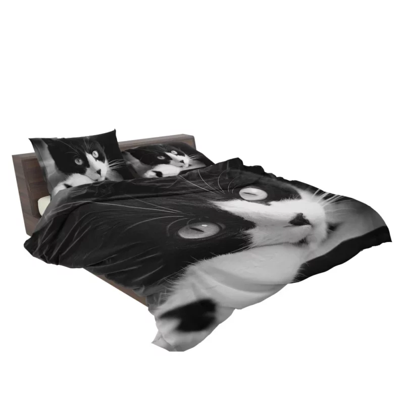 Black & White Cat Enigmatic Beauty Bedding Set 2