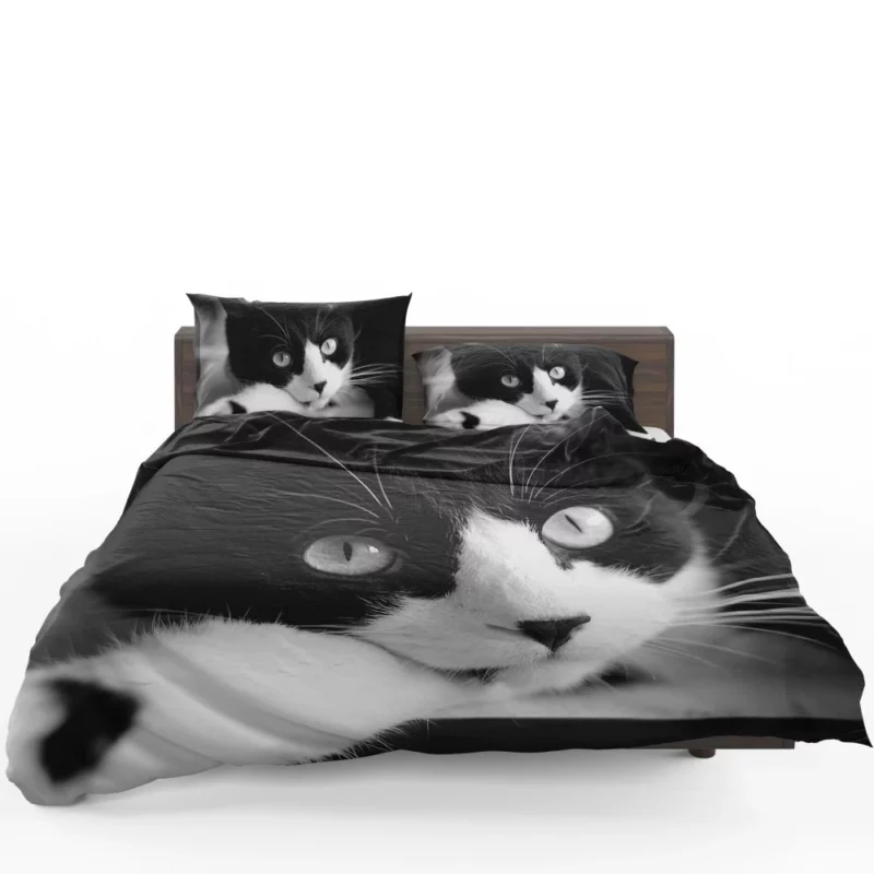 Black & White Cat Enigmatic Beauty Bedding Set