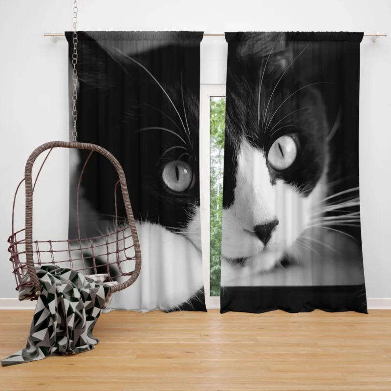 Black & White Cat Enigmatic Beauty Curtain