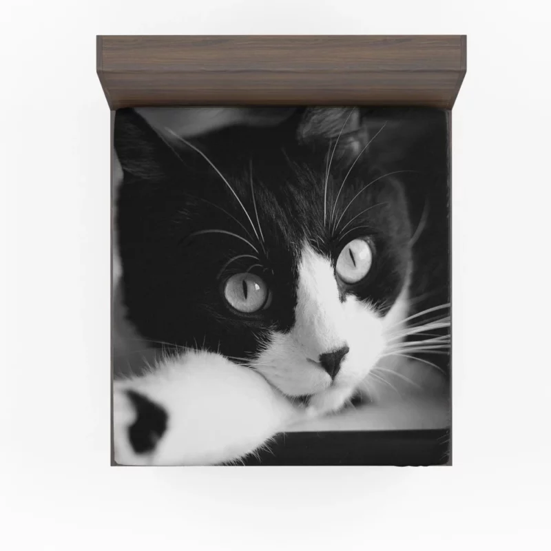 Black & White Cat Enigmatic Beauty Fitted Sheet 1