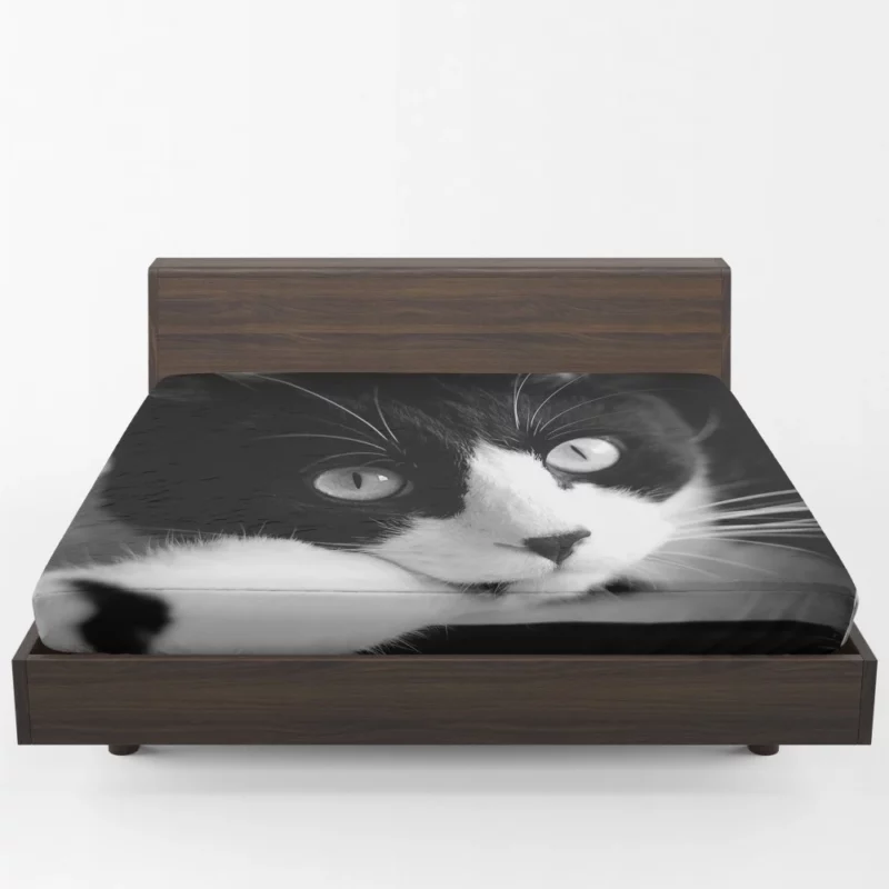 Black & White Cat Enigmatic Beauty Fitted Sheet