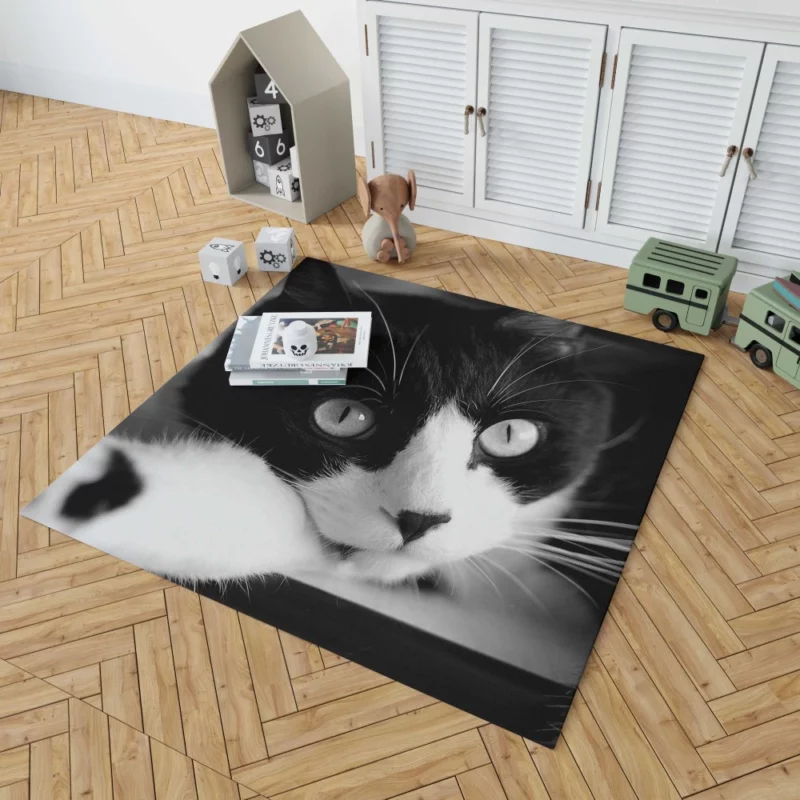 Black & White Cat Enigmatic Beauty Rug 1